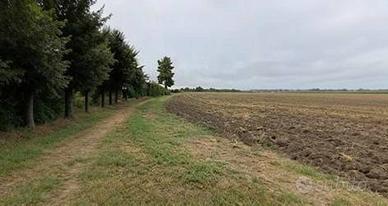 Immobile in asta di 14272 m² a Ostiglia