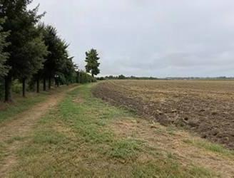 Immobile in asta di 14272 m² a Ostiglia