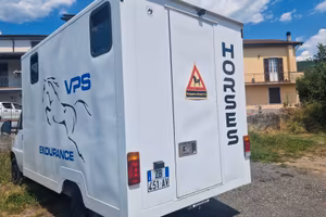 Van ducato fiat trasporto cavalli pat B