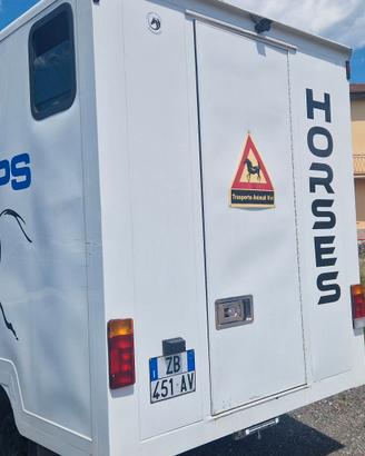 Van ducato fiat trasporto cavalli pat B