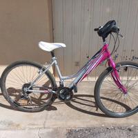 Bicicletta donna taglia media