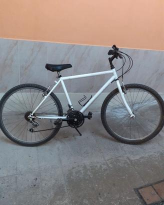 Bici da ragazzo 10/13 anni
