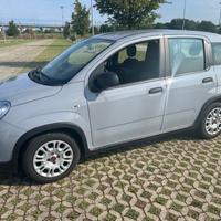 Fiat Panda 1.0 FireFly S&S Hybrid PREZZO REALE