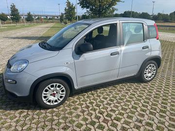 Fiat Panda 1.0 FireFly S&S Hybrid PREZZO REALE