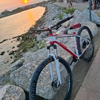 bicicletta