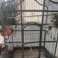 Gabbia per uccelli