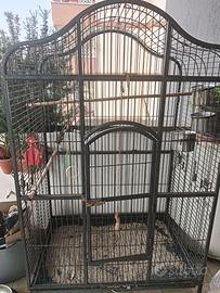 Gabbia per uccelli