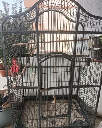 Gabbia per uccelli