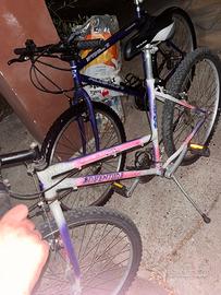 do via in coppia Mountain bike vintage