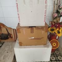 lotto 3 scatoloni carnevale e halloween 