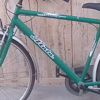 Bici da uomo