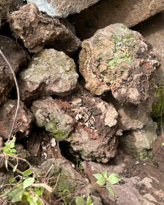 Pietre vulcaniche per giardino