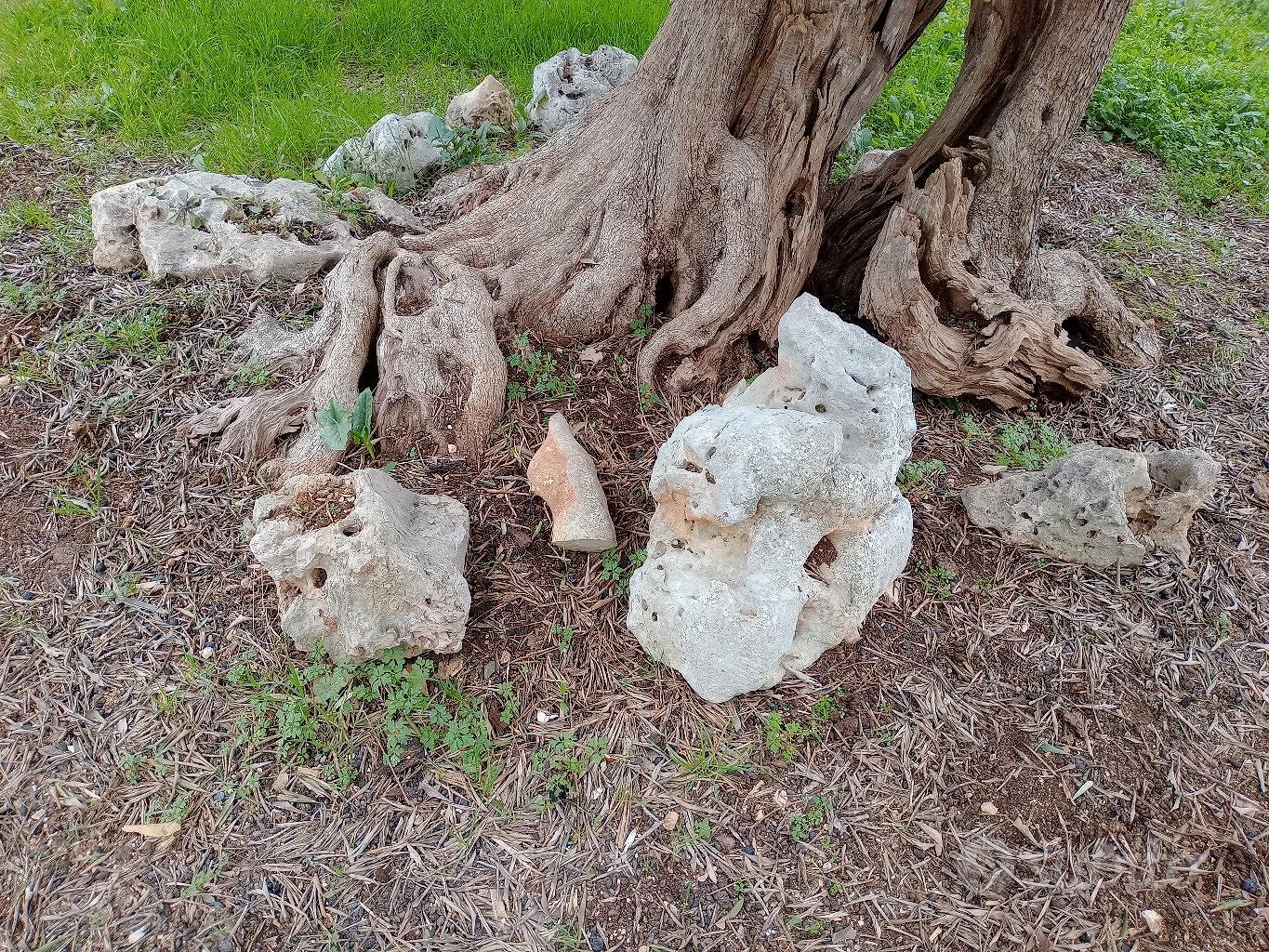 pietre da giardino. - Giardino e Fai da te In vendita a Bari