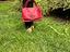 Immagine 4