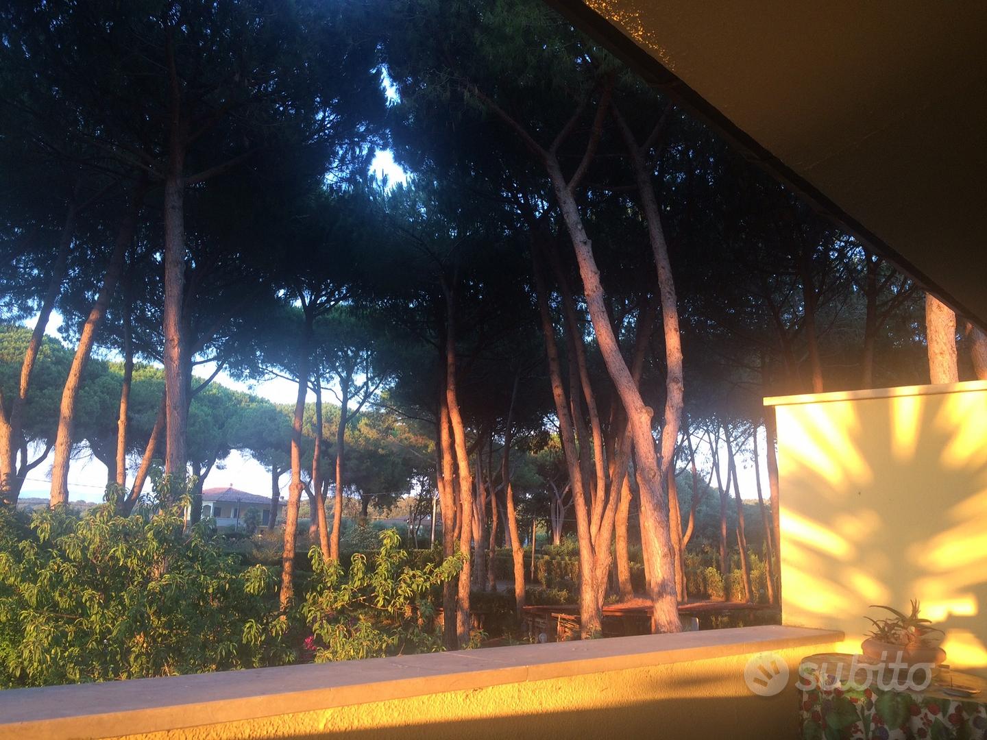 Villa nel parco nazionale - Vista 2