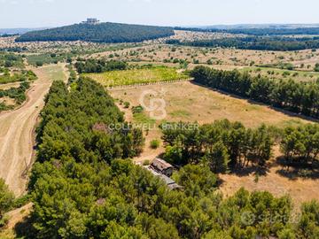 Rustico/Casale/Corte - Andria