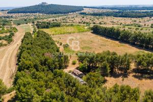 Rustico/Casale/Corte - Andria