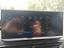 Immagine 12