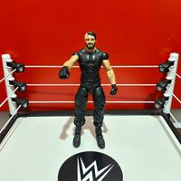 Wrestler WWE Seth Rollins