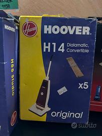 SACCHETTI HOOVER