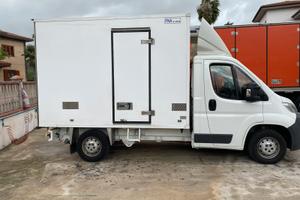 Jumper 2.0 Cassa frigo