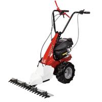 Mtf con barra eurosystems minieffe loncin 196cc