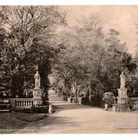 RARA Stampa Epoca ROMA - Villa Borghese Viale e G