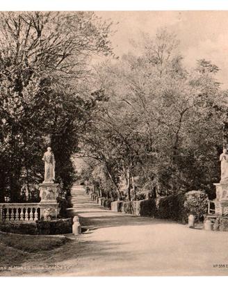 RARA Stampa Epoca ROMA - Villa Borghese Viale e G