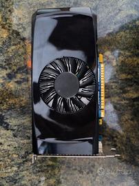 lotto gpu nvidia 