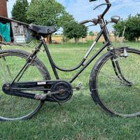 Bici da  donna Doniselli
