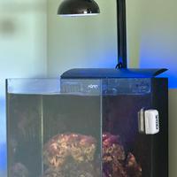 Aqpet reef 30 marino