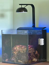 Aqpet reef 30 marino