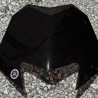 Cupolino sport per T Max 530