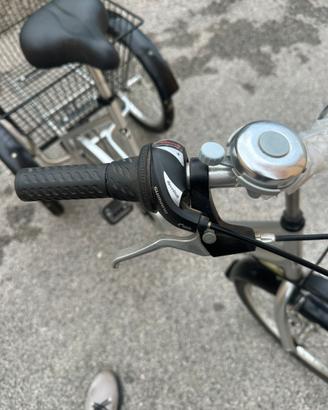 Bicicletta a tre ruote