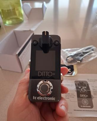 Looper Ditto+ Tc Electronic