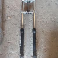 FORCELLE HM BETA FANTIC