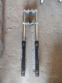 FORCELLE HM BETA FANTIC