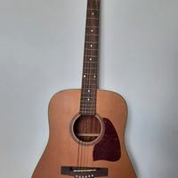 Chitarra acustica Ibanez Artwood AW15-LG