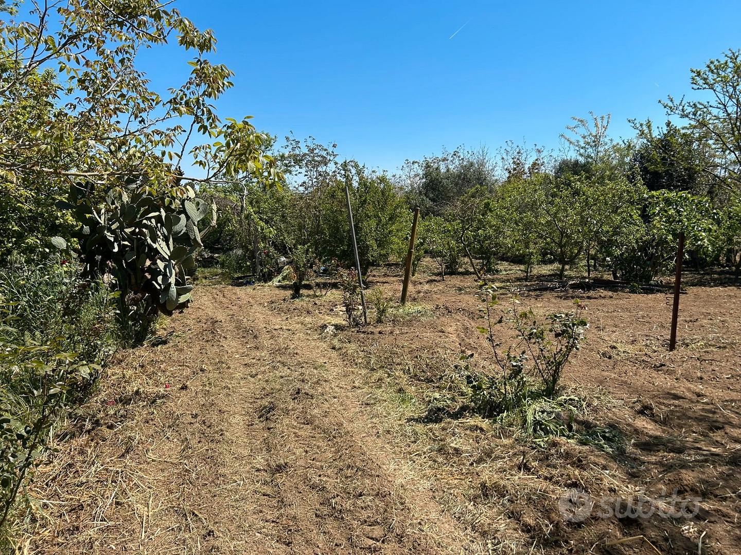 Terreno agricolo - Vista 2