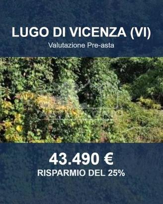 Immobile in asta di 30548 m² a Lugo di Vicenza