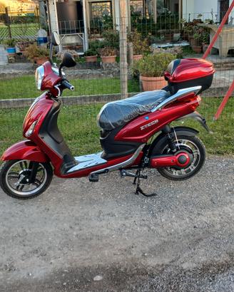 bicicletta elettrica
