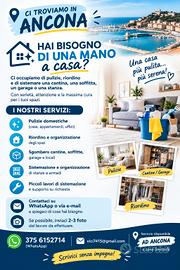 lavoro pullizia