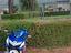Immagine 3