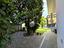Immagine 6