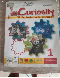 curiosity 1