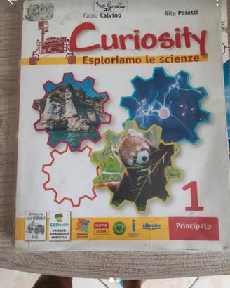 curiosity 1
