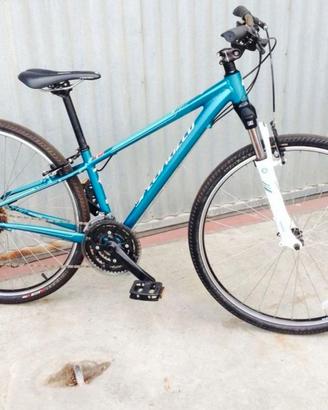 Specialized Ariel