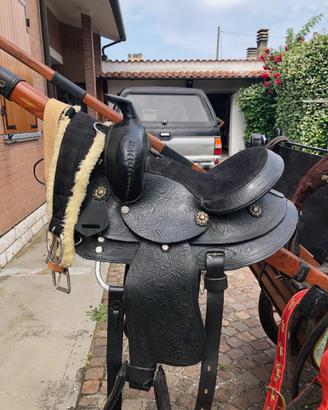Sella da Pony