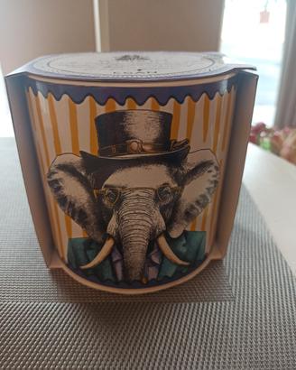cachepot (vaso per piante) 
