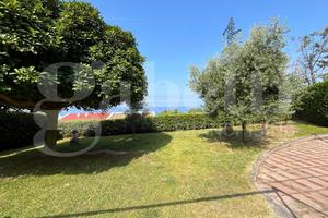 Villa singola Diamante [24VRG]